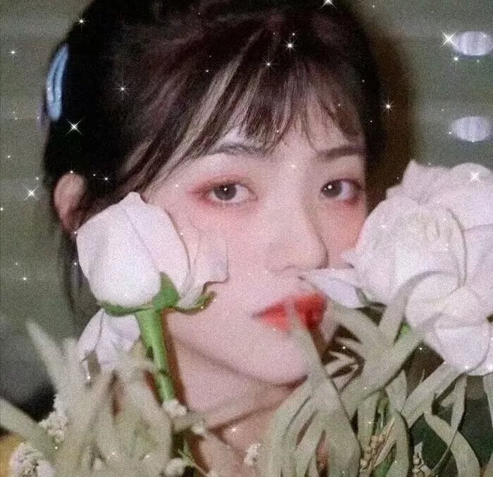 富贵狂花